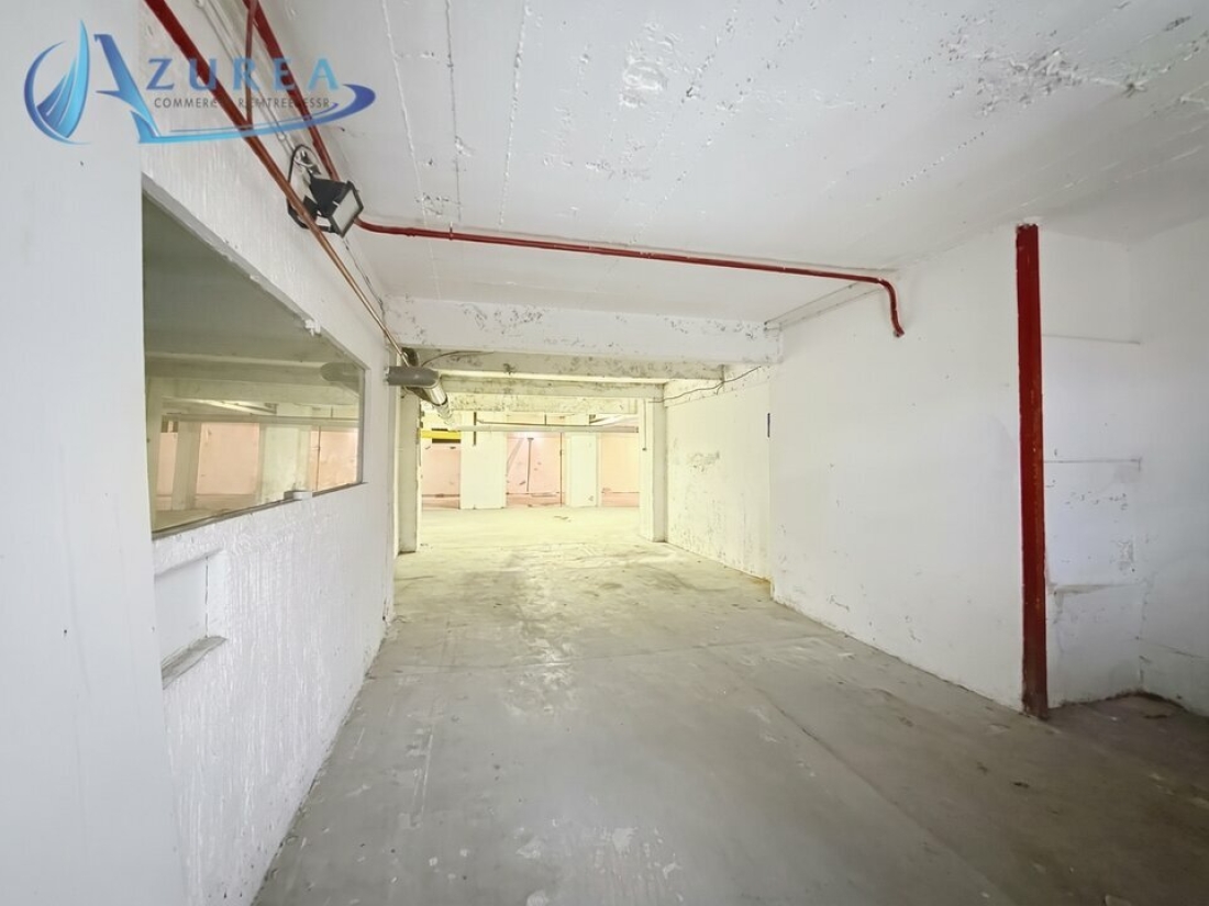 Photo 1 – location Entrepôts / activités	NICE (06000)