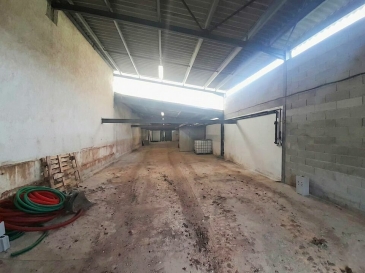 Photo 1 – location Entrepôts / activités	LE CANNET DES MAURES (83340)