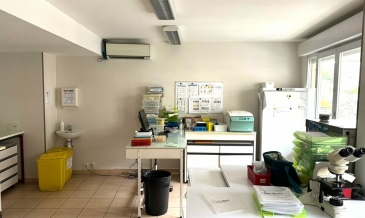 Photo 1 – location Locaux commerciaux	SAINT LAURENT DU VAR (06700)