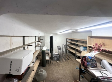 Photo 2 – location Entrepôts / activités	NICE (06300)