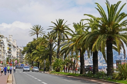 Photo 3 – location Entrepôts / activités	 (06100)