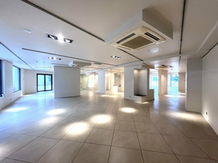Photo 1 – location Locaux commerciaux	CANNES (06400)