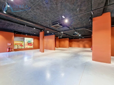 Photo 2 – location Locaux commerciaux	MANDELIEU LA NAPOULE (06210)